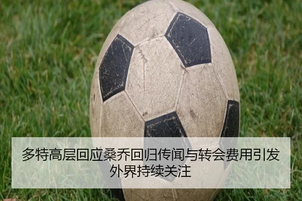 多特高层回应桑乔回归传闻与转会费用引发外界持续关注
